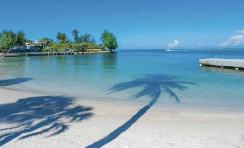 SANDY COVE
SIESTA KEY CONDO WITH PRIVATE BEACH
