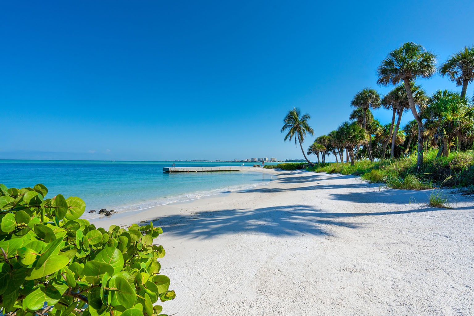 Sandy Cove, Community Siesta Key Sarasota